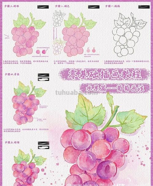 色彩葡萄的画法及色彩葡萄的画法步骤 