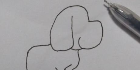 简笔画的小狗怎么画 小狗简笔画怎么画？