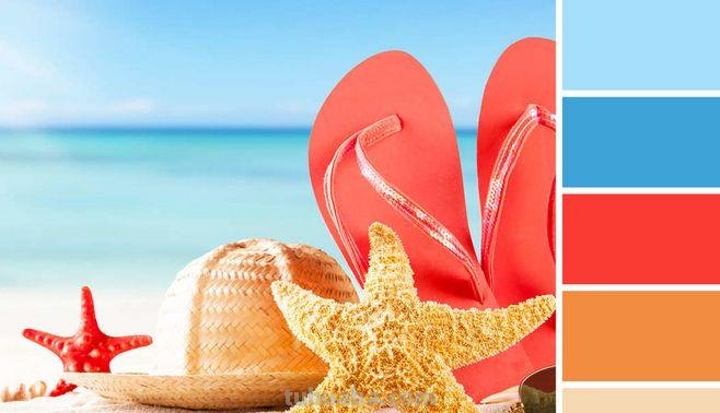 夏天你最爱哪种颜色呢？一起回顾这些缤纷色彩