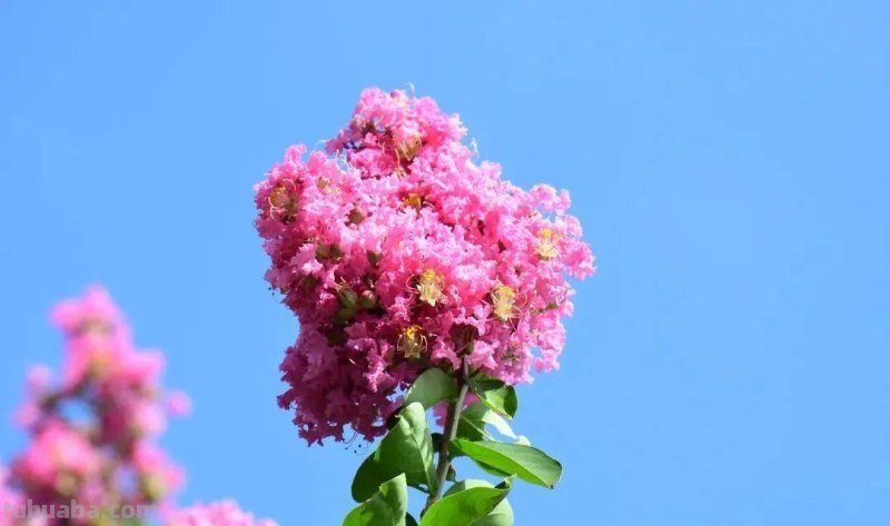 夏天你最爱哪种颜色呢？一起回顾这些缤纷色彩
