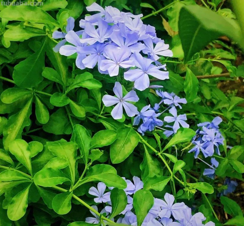 夏天你最爱哪种颜色呢？一起回顾这些缤纷色彩