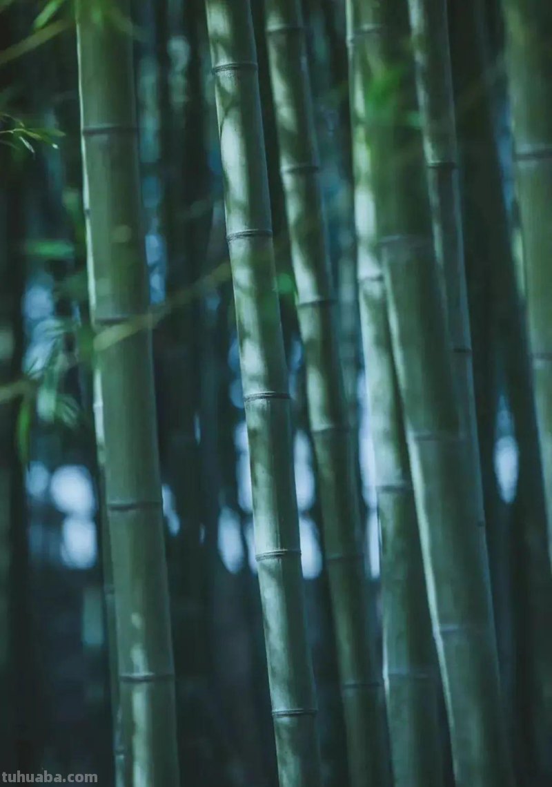 夏天你最爱哪种颜色呢？一起回顾这些缤纷色彩