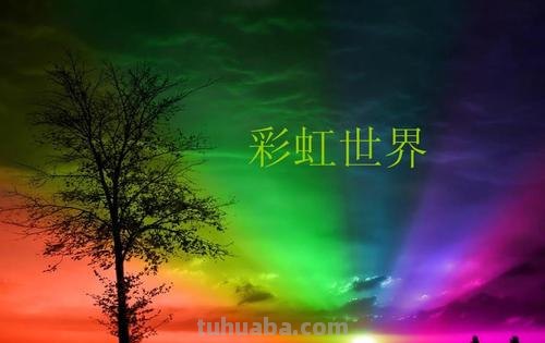 缤纷绚丽的色彩世界 