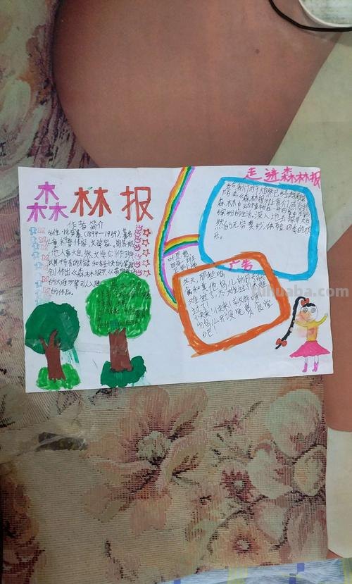 森林报的手抄报怎么做 创建森林城手抄报的制作方法？