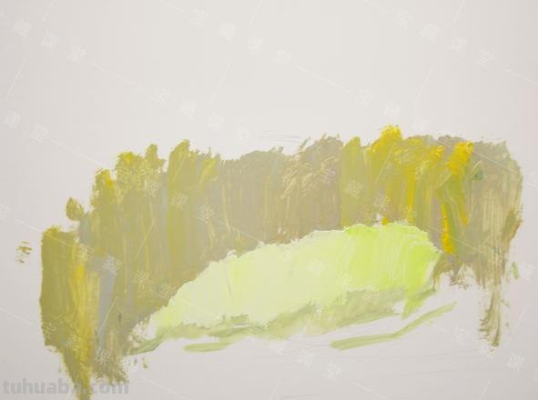 如何用色彩让白萝卜变得更加丰富多彩？ 