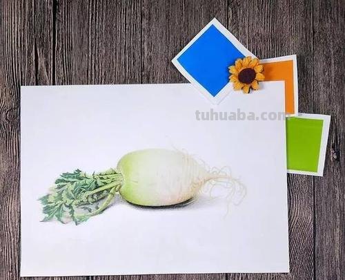 如何用色彩让白萝卜变得更加丰富多彩？ 