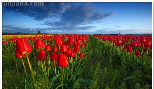 【色彩摄影作品欣赏】走进色彩的世界 