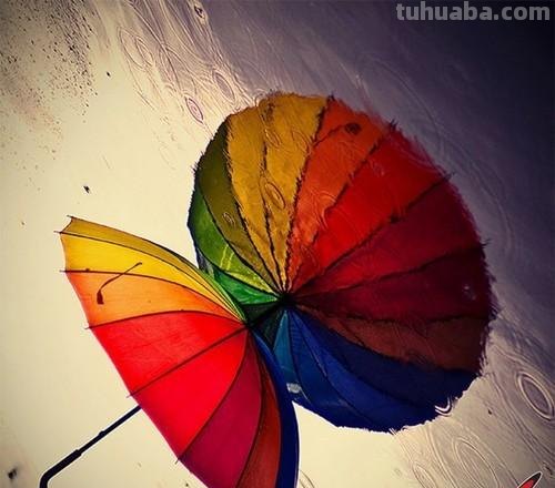 【色彩摄影作品欣赏】走进色彩的世界 