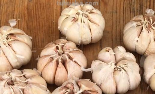 生菜、西芹、蒜苗……居家怎么种？实操手册让你一次学会