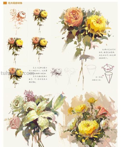 色彩花临摹及色彩花临摹图片——如何通过摹画花朵来提高色彩感知能力 