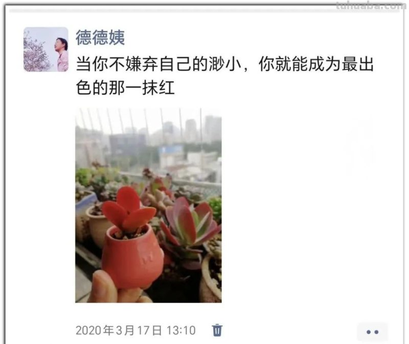 养肉9年：纪念我与多肉长久的相伴！