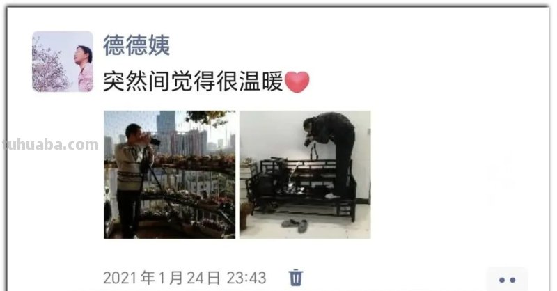 养肉9年：纪念我与多肉长久的相伴！