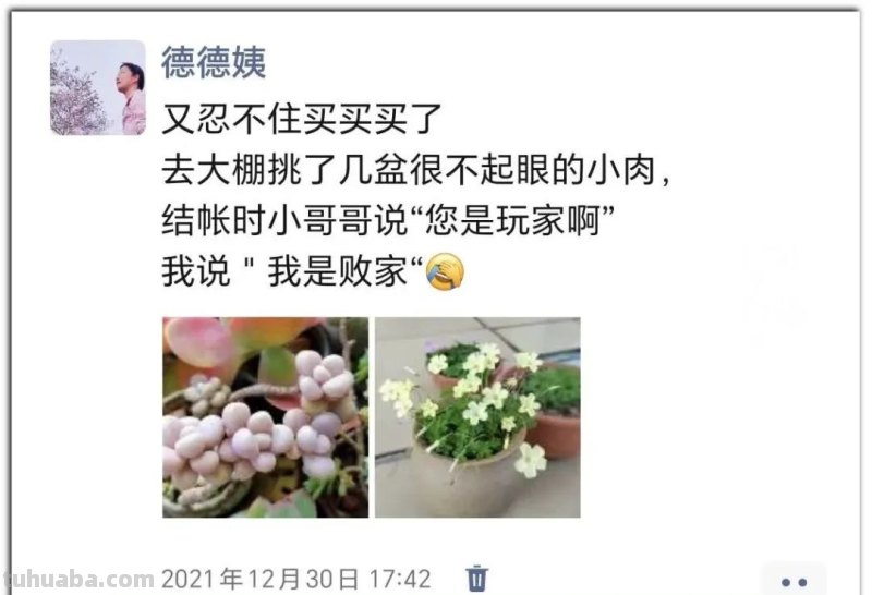 养肉9年：纪念我与多肉长久的相伴！