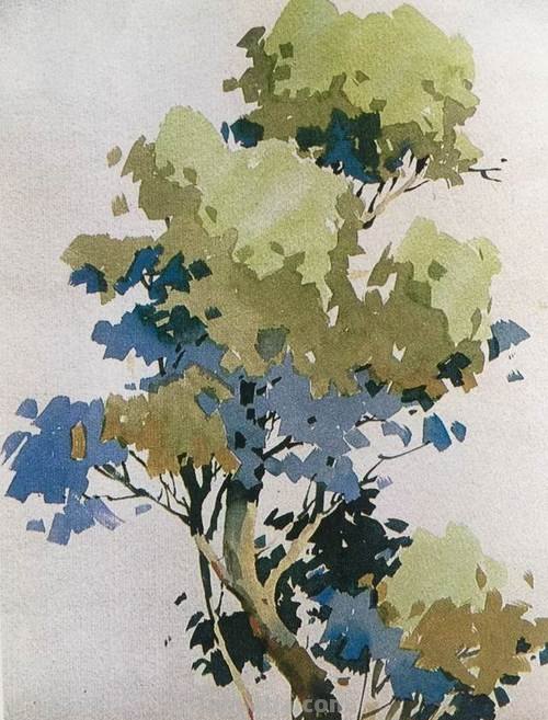 树木色彩画及树木色彩画法 