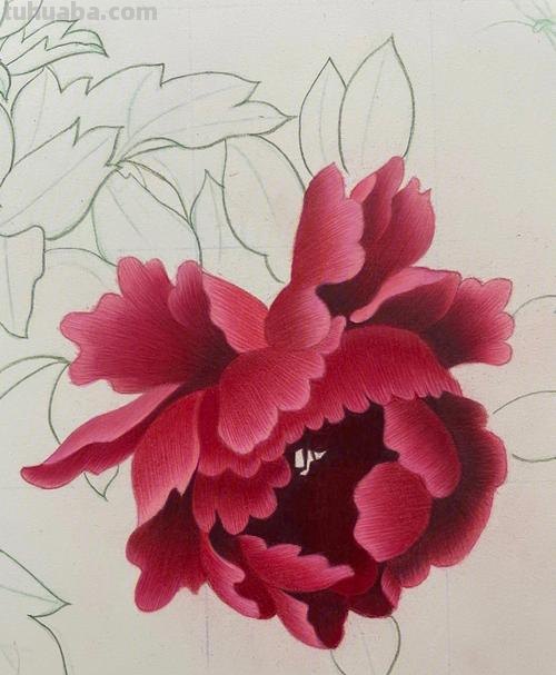 零基础也能画彩铅，教你画一朵牡丹花