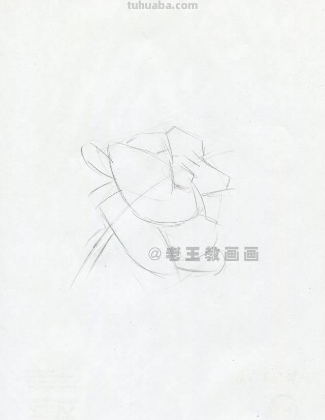 零基础也能画彩铅，教你画一朵牡丹花