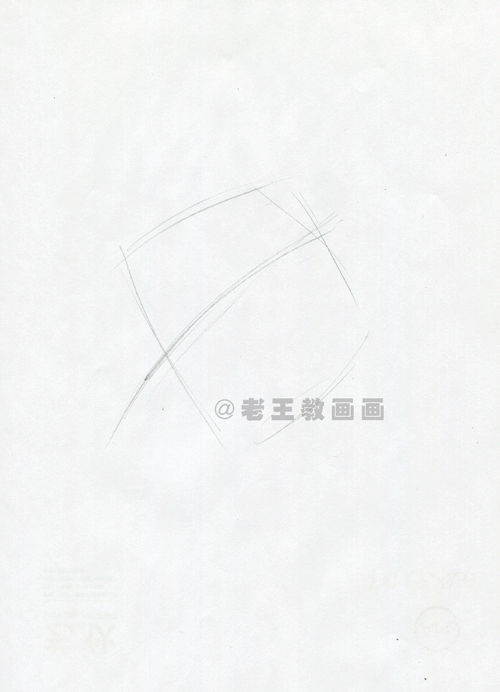 零基础也能画彩铅，教你画一朵牡丹花