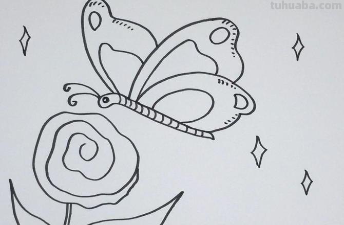 蝴蝶小鸟怎么画简笔画 一步一步画蝴蝶?