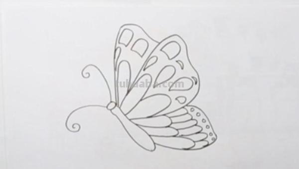 蝴蝶小鸟怎么画简笔画 一步一步画蝴蝶？