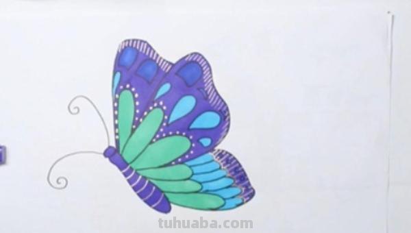 蝴蝶小鸟怎么画简笔画 一步一步画蝴蝶？