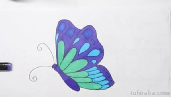 蝴蝶小鸟怎么画简笔画 一步一步画蝴蝶？