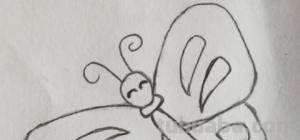 蝴蝶小鸟怎么画简笔画 一步一步画蝴蝶？