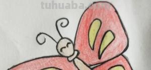 蝴蝶小鸟怎么画简笔画 一步一步画蝴蝶？