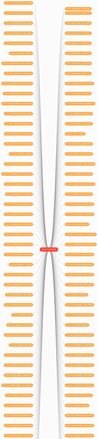 目录思维导图怎么写 word目录怎么做成思维导图的形状?