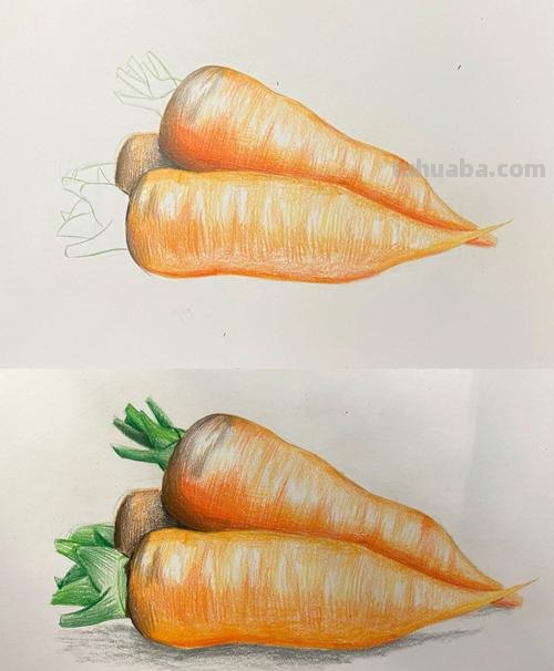 用彩铅画萝卜怎么画视频 萝卜怎么画？