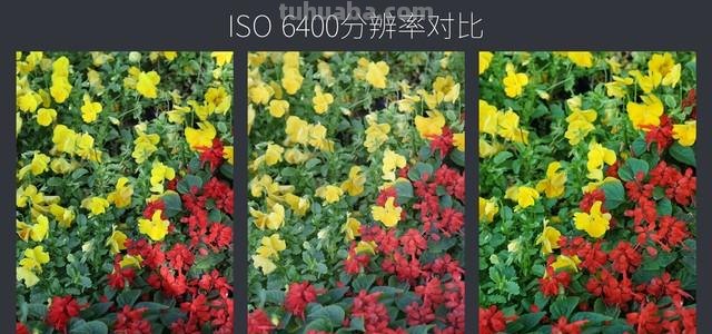 尼康和佳能的色彩及对比分析 