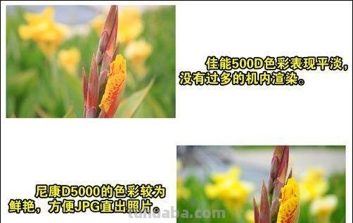 尼康和佳能的色彩及对比分析 