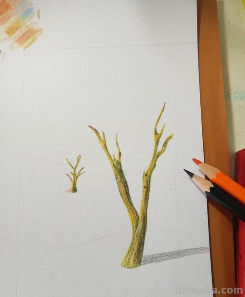 用彩铅画树夏天怎么画 如何用彩铅画树？