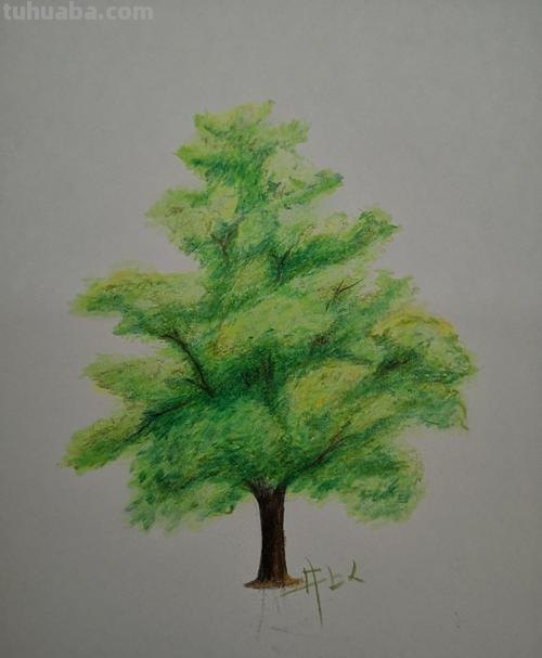 用彩铅画树夏天怎么画 如何用彩铅画树？