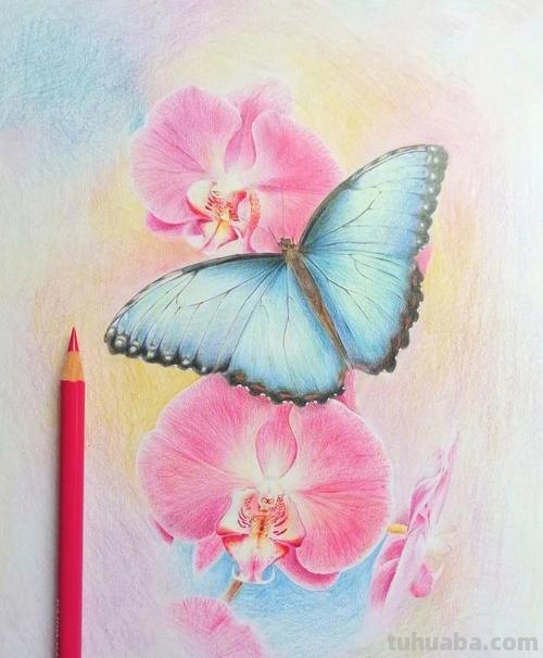 彩铅画怎么画漂亮的东西 怎么用彩铅画画？