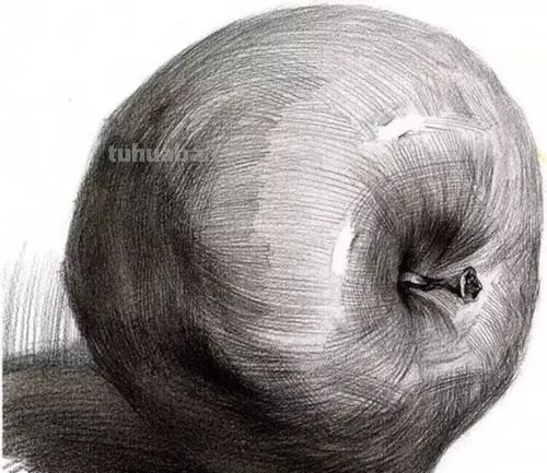 苹果版画技巧速写 画素描苹果有什么技巧？要注意什么？
