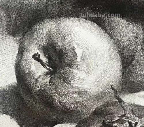 苹果版画技巧速写 画素描苹果有什么技巧？要注意什么？