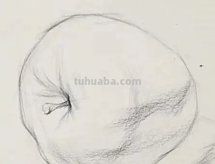 苹果版画技巧速写 画素描苹果有什么技巧？要注意什么？