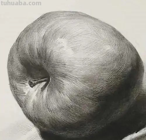 苹果版画技巧速写 画素描苹果有什么技巧？要注意什么？