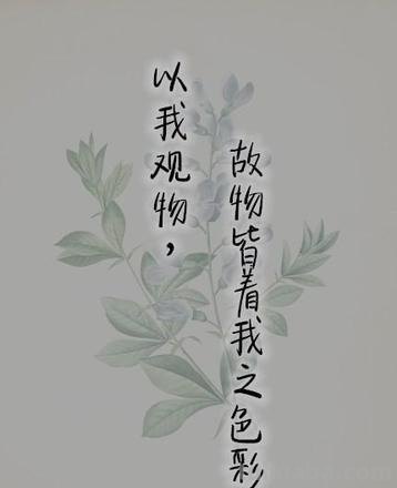 以我观物物皆着我之色彩——浅谈文学评论中的色彩主题 