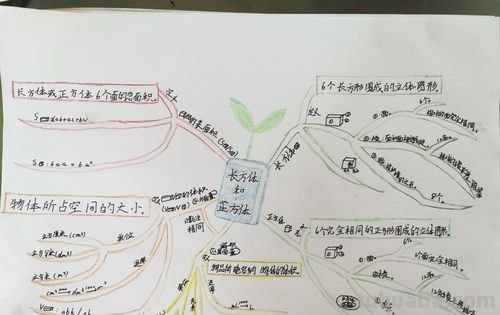 方字思维导图怎么画 五年级数学正方形和长方形思维导图怎么做?