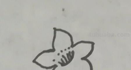 桃花树怎么画简笔画 只用紫色、绿色、蓝色彩笔不用其他东西画一幅桃花树？