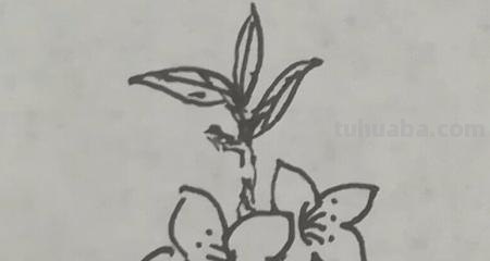 桃花树怎么画简笔画 只用紫色、绿色、蓝色彩笔不用其他东西画一幅桃花树？