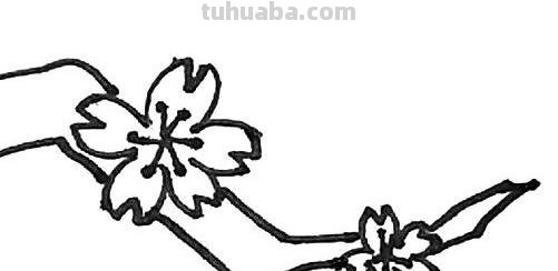 桃花树怎么画简笔画 只用紫色、绿色、蓝色彩笔不用其他东西画一幅桃花树？