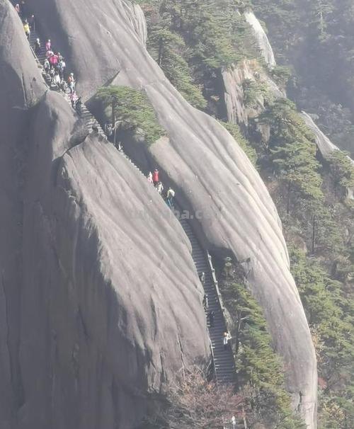 黄山 黄山光明顶蚂蚁