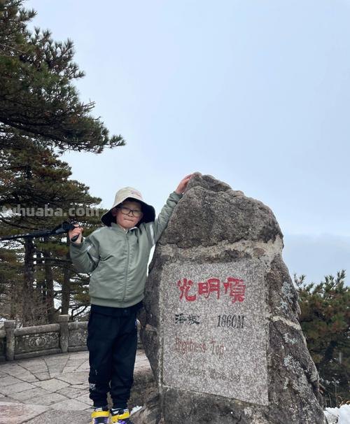 黄山 黄山光明顶蚂蚁