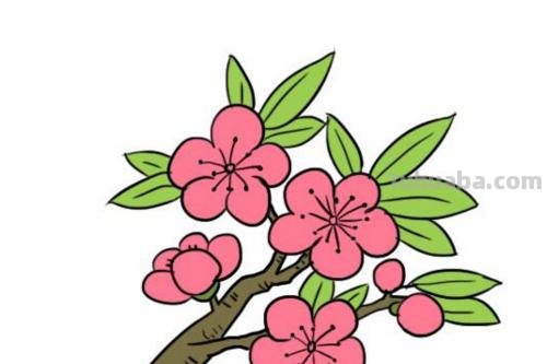 怎么画桃花的简笔画 桃花简笔画怎么画?