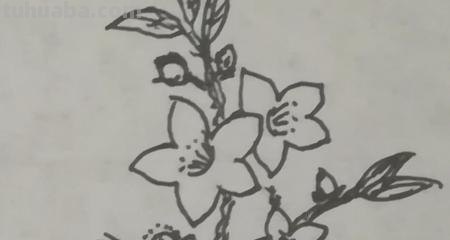 怎么画桃花的简笔画 桃花简笔画怎么画？