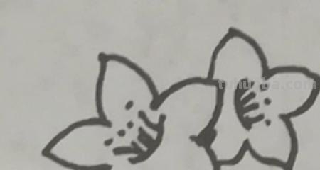 怎么画桃花的简笔画 桃花简笔画怎么画？