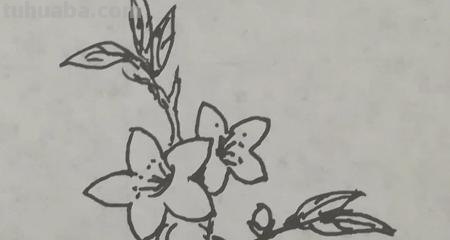 怎么画桃花的简笔画 桃花简笔画怎么画？