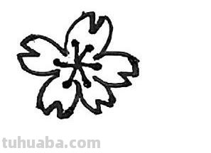 怎么画桃花的简笔画 桃花简笔画怎么画？